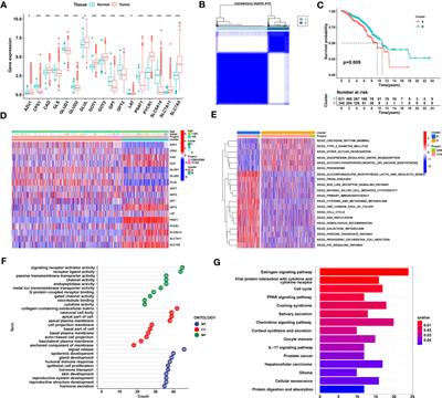 Targeting glutamine metabolic reprogramming of SLC7A5 enhances the efficacy of anti-PD-1 in triple-negative breast cancer